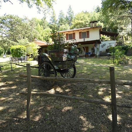 Scappo In Umbria, La Casa Nel Bosco Villa Amelia Ngoại thất bức ảnh